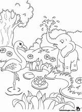 Animaux Colorier Coloriages Coloriage Getcolorings sketch template