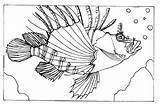 Leu Lionfish Colorat Desene Peste Pesti Cliparts Planse Related Pestele sketch template