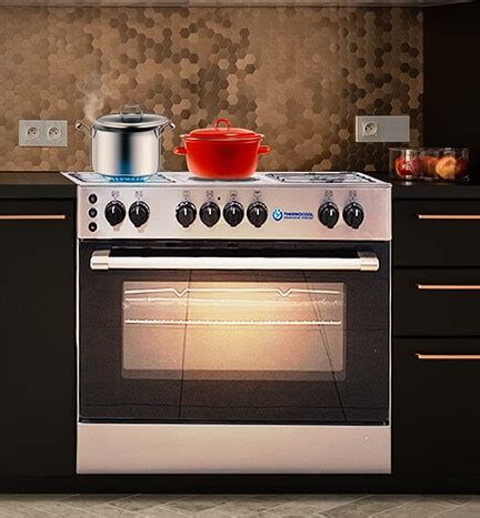oven  gas cooker types thermocool