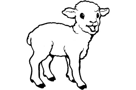 baby goat coloring pages leapfrog printable ba animal coloring