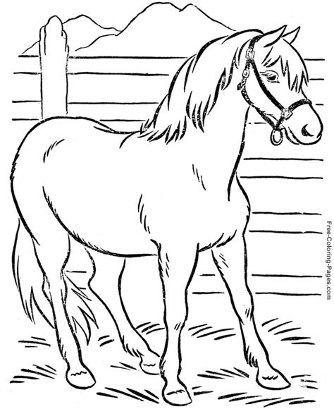 coloring book pages  horses