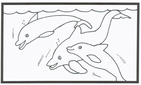 kids coloring dolphin research center