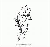 Lily Outline Coloring Flower Popular sketch template