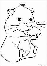 Hamster Zhu Coloriage Ausmalbilder Kolorowanki Chunk Ausdrucken Hamsters Ausmalen Ausmalbild Gourmand Kolorowanka Pintar Malvorlagen Zwerghamster Cuy Colorare sketch template