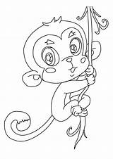 Singe Mewarnai Affe Monyet Macaco Changos Dibujo Hellokids Imprimer Ausdrucken Tk Colorir Ausmalbild Monkeys Jungle Guenon Noix Yodibujo Bébé Animales sketch template