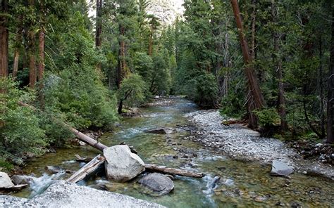 fondos de pantalla parque bosques ee uu sequoia california naturaleza