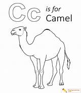 Camel Coloring Letter Alphabet Learning Sheet Kids Date sketch template