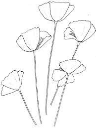 image result  poppy template poppy flower drawing poppy drawing