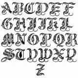Calligraphy Alphabets sketch template