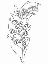 Lily Valley Coloring Pages Muguet Coloriage Maternelle Dessiner sketch template