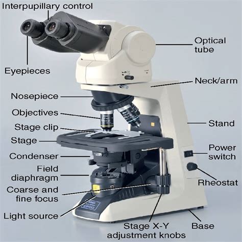 care     microscope rodaks hematology clinical principles  applications  ed