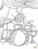 Coloring Playing Drums Pages Kangaroo sketch template