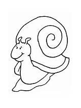 Coloring Pages Snail Insects Dltk Printables Crafts Visit Snails sketch template