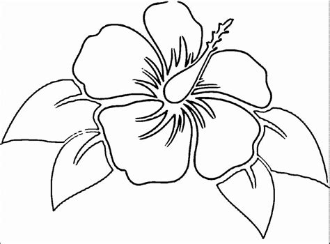 hawaiian flower coloring page beautiful hawaii state flower drawing