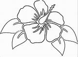 Hibiscus Getdrawings Dxf Eps sketch template