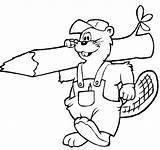 Beaver Coloring Pages Color Gif Print sketch template