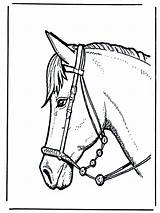 Horse Head Coloring Pages Colouring Horses Fargelegg Printable Hester Animal Funnycoloring Coloriage Cheval Print Stronger Color Annonse Adult Kids Paarden sketch template