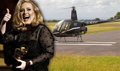 adele refuses to pay £75 for her helicopter to land in forest of dean daily mail online