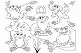Frogs Frog Clip Clipart Coloring Vector Animals Choose Board sketch template