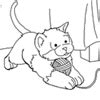 cat  kitten page    coloring pages surfnetkids