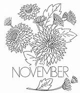 Coloring November Pages Printable Flowers Kids sketch template
