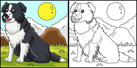 border collie dog coloring page illustration  vector art