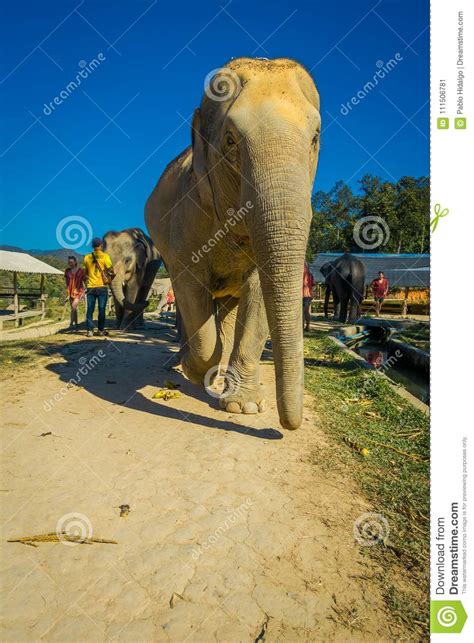 Chiang Rai Thailand February 01 2018 Unidentified