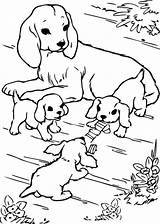 Hunde Malvorlagen Ausmalbilder Kostenlos Hund Drucken Ausdrucken Mädchen Raskraski sketch template