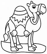 Outline Dromadaire Camels Chameleon Clipartmag Effortfulg Coloriages sketch template