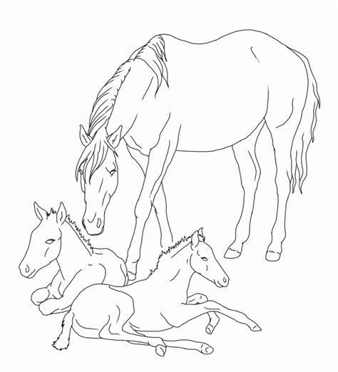 horse  foal coloring pages realistic sketch coloring page coloring