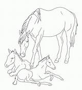 Coloring Horse Pages Realistic Mare Foals Foal Drawing Horses Print Lineart Baby Sketch Twin Printable Deviantart Drawings Clipart Rocks Library sketch template