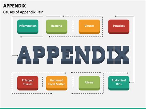 appendix powerpoint template  google  theme