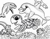 Coloring Pages Animals Baby Color Origami Animal Hawaii Print Kids Friends Honu Hawaiian Sea Turtle Creatures Sheet Stuff Crafts Clipart sketch template