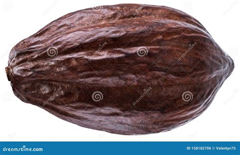 cocoa pod   white background clipping path stock photo image