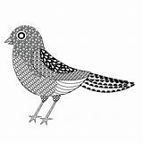 Zentangle Vogel Gestileerde Illustratie sketch template