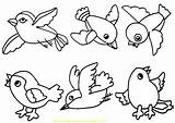 Burung Mewarnai Anak Paud Berbagai Macam Temukan Aneka sketch template
