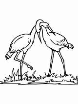 Coloring Stork Couple Pages Printable Supercoloring Valentine Color Drawing Animals Categories sketch template