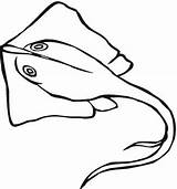 Stingray Ikan Arraia Sketsa Mantarraya Pari Raie Pesce Laut Spada Supercoloring Poisson Sindunesia Coloringbay Ciri Popular Kepala Coloringall Categorias sketch template