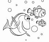 Nemo Dory Procurando Findet Marlin Colorear Coloringhome Coloring4free Desenho Peixe Seagulls Tudodesenhos sketch template