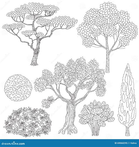 black  white outlines trees  bushes stock vector illustration