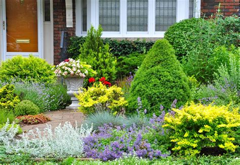 top  front yard landscaping ideas birds  blooms