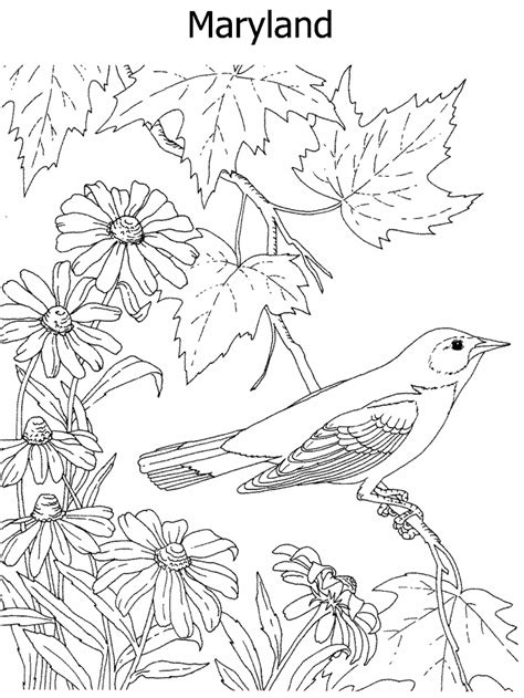 dltk fall coloring page coloring home