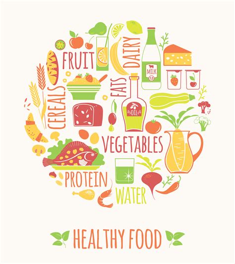 vector illustration  healthy food  vector art  vecteezy