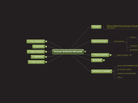 Proceso Ordinario Mercantil Mind Map