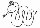 Snake Coloring Pages Cartoon Colouring Kids Template Printable Animal Chinese Outline Templates Clipart Year Children Snakes Color Drawings Clip Parsha sketch template