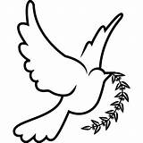 Confirmation Dove Drawing Bird Template Drawings Catholic Stencil sketch template