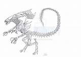Queen Coloring Pages Xenomorph Template Deviantart sketch template