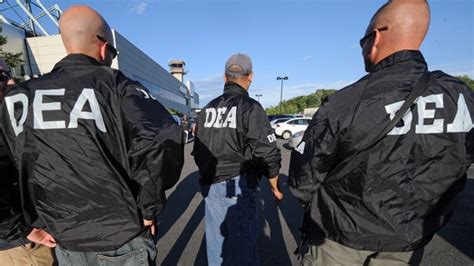 report dea agents sex parties funded by drug cartels latest news