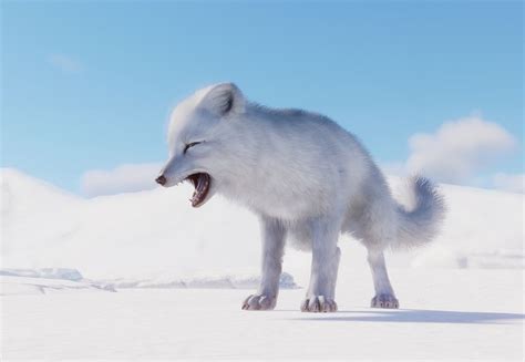 arctic fox planet zoo wiki fandom