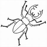 Beetle Drawing Coloring Stag Insect Pages Rhino Beetles Insects Bugs Outline Bug Drawings Color Deviantart Google Line Simple Scarab Search sketch template